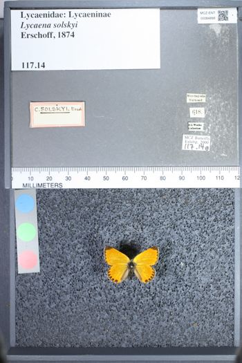 Media type: image;   Entomology 64895